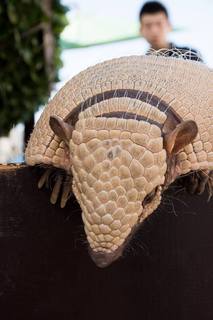 14264228_699077156912812_1174556385645623968_n[1].jpg