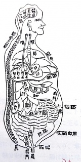 7f123042f11cc7b138bedfb59c729e3d.jpg