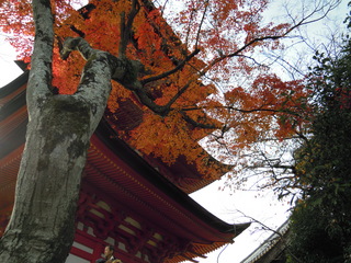 DSCN2583.JPG