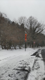 DSC_0316.JPG