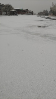 DSC_0325.JPG