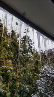 DSC_0330.JPG