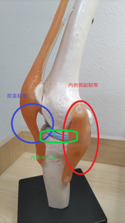 DSC_0600.png