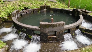 DSC_0632.JPG