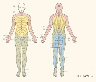 Dtxx_y5VYAAv55Y[1].jpg