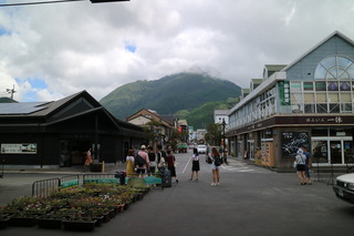 IMG_0013.JPG