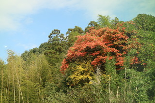 IMG_0597.JPG