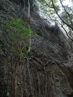 IMG_2314.JPG