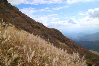IMG_4275.JPG