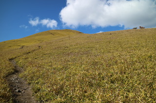 IMG_4300.JPG