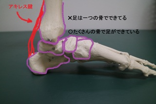 IMG_6170.JPG