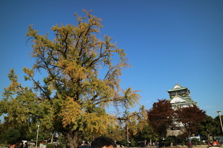 IMG_8874.JPG
