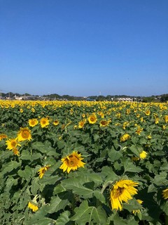 LINE_ALBUM_113は国東の日_250419_3.jpg