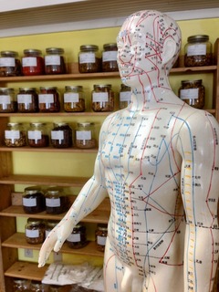 acupuncture-2308489_1280.jpg