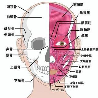 b1f8159709ee1eafe0ba6163366a0e43_t.jpeg