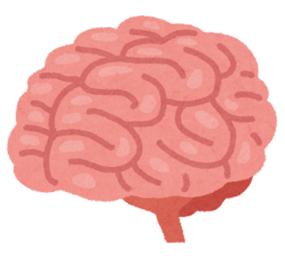 body_brain_nou.png