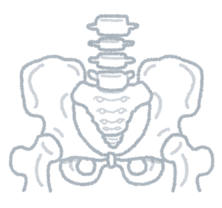 body_kotsuban_white.png