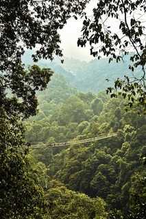 bridge-7178826_640.jpg