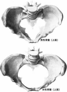 clip_image002.jpg