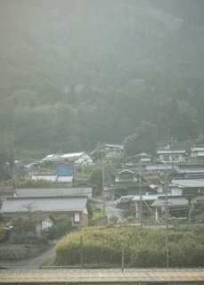 cropokamachiPAR58718.jpg