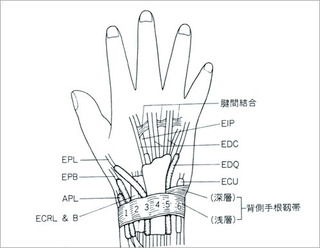 doctor_07_img01.jpg