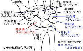 image_5135760.jpg