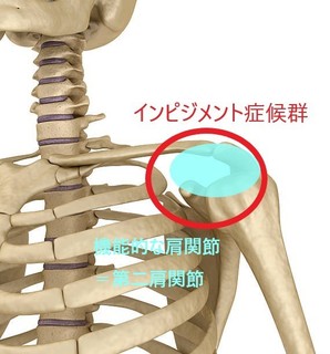 istockphoto-607275820-612x612.jpg