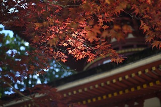 koyasan-6584637_1280.jpg