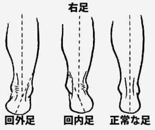 o0360030213966630954.jpg