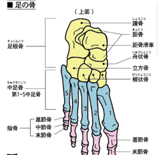 o0960093914047101798.png