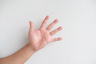 palm-2704015_1280.jpg