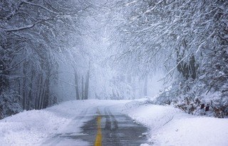 road-5903402_1280.jpg