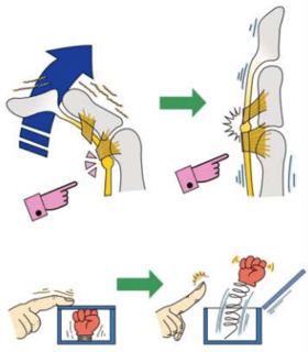snapping-finger10-compressor.png