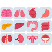 thumbnail_body_icon_f.jpg