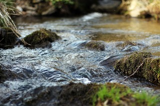 water-5065218_1280.jpg